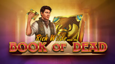Book of Dead Slot bei Ally Spin Casino